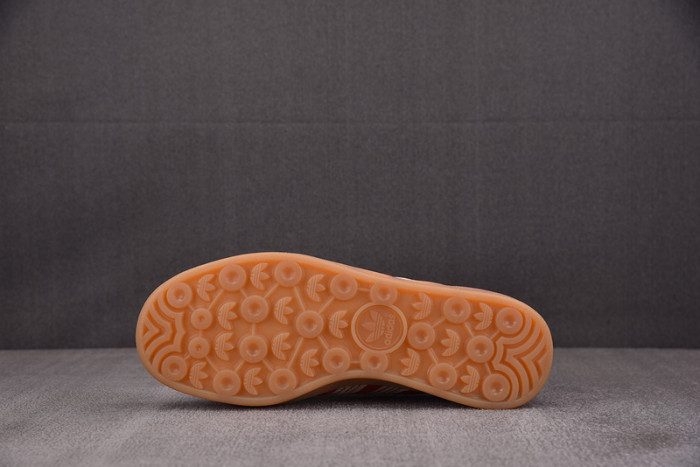 Gazelle Indoor 