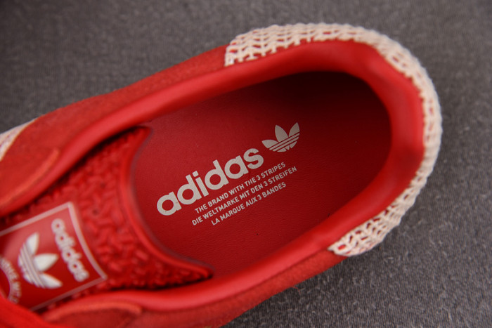 Gazelle Indoor 
