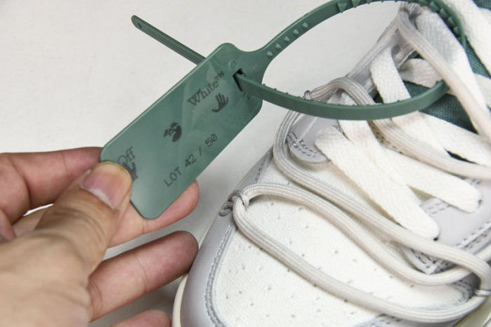 of x dunk low