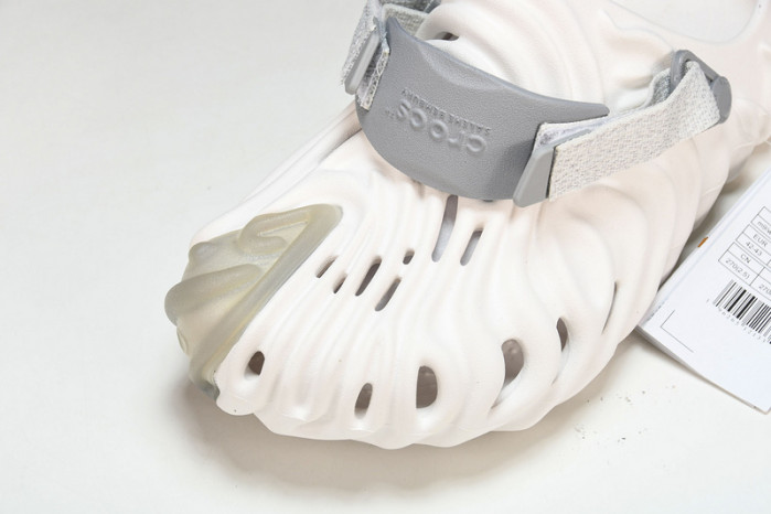 Cr0c5 pollex slide cp -01