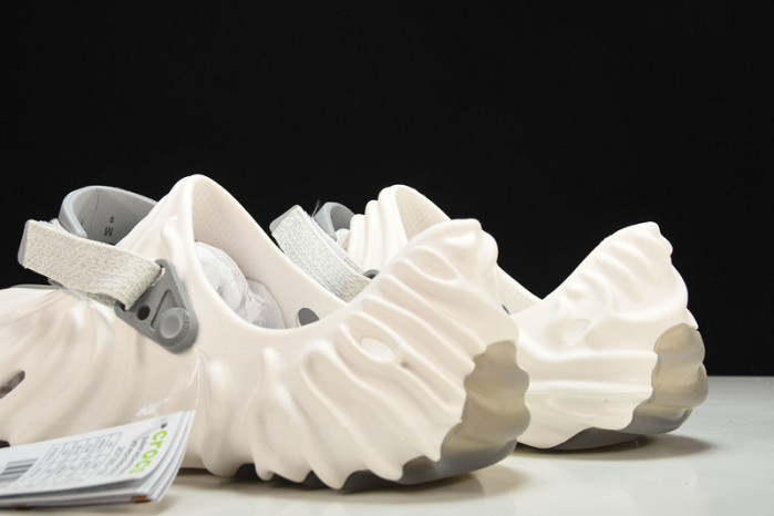 Cr0c5 pollex slide cp -01