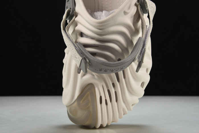 Cr0c5 pollex slide cp -01