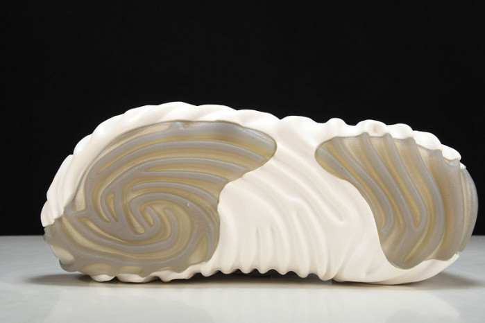 Cr0c5 pollex slide cp -01