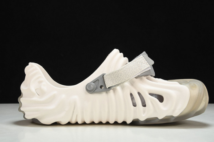 Cr0c5 pollex slide cp -01