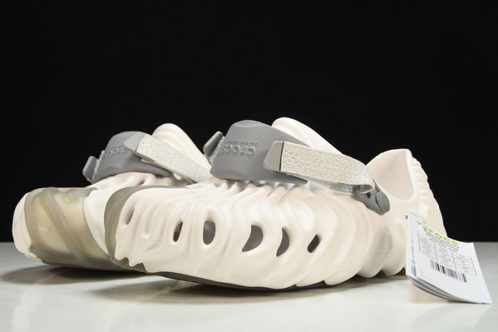 Cr0c5 pollex slide cp -01