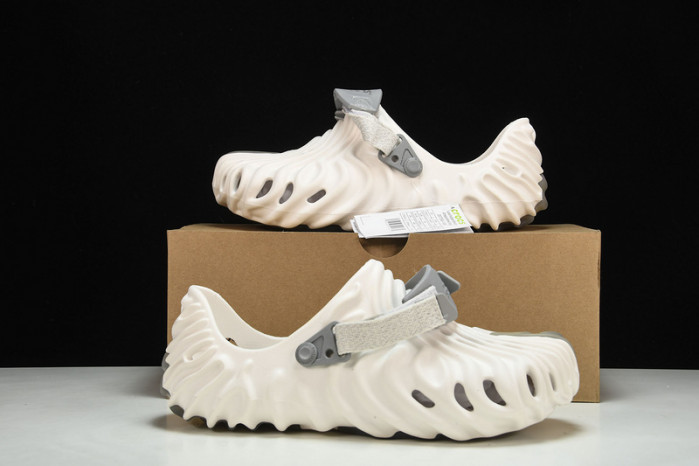 Cr0c5 pollex slide cp -01