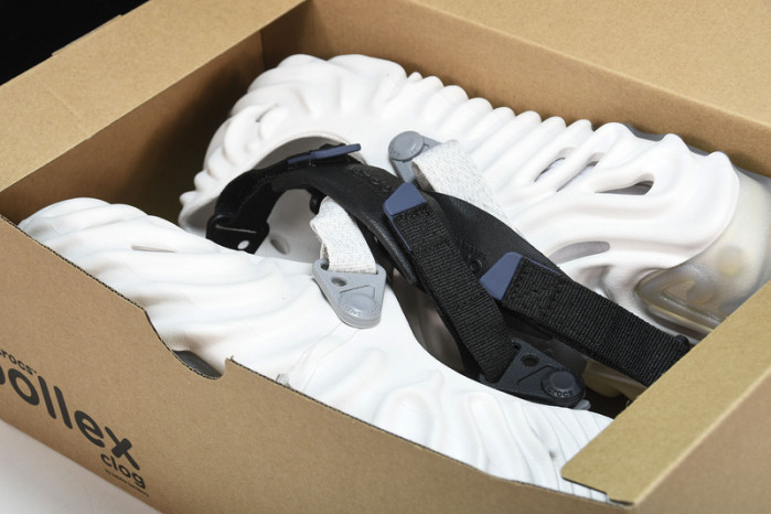 Cr0c5 pollex slide cp -01