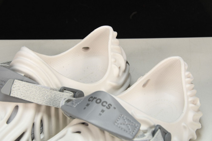 Cr0c5 pollex slide cp -01