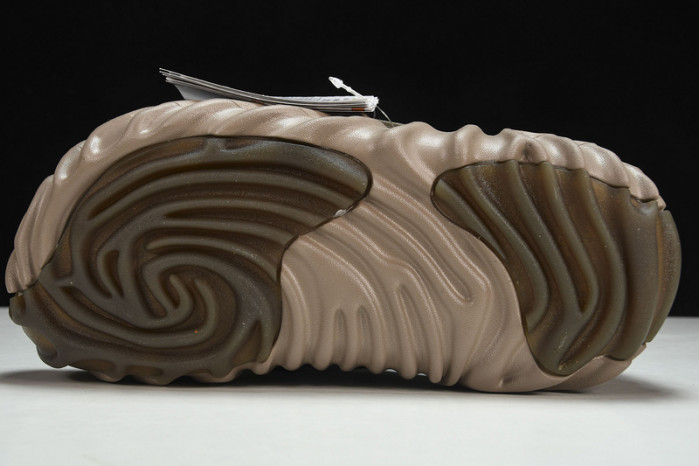 Cr0c5 pollex slide cp -04