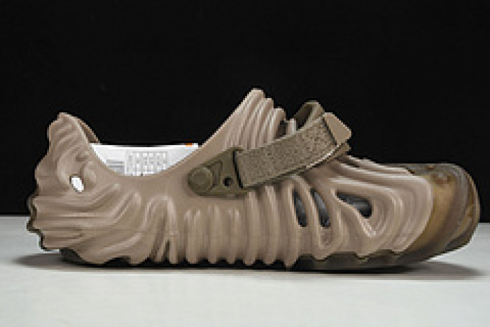 Cr0c5 pollex slide cp -04