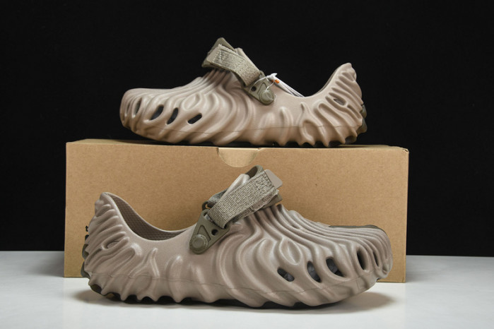 Cr0c5 pollex slide cp -04