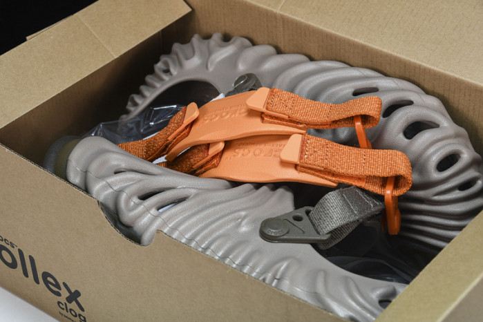 Cr0c5 pollex slide cp -04