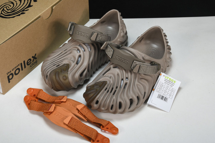 Cr0c5 pollex slide cp -04