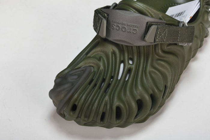 Cr0c5 pollex slide cp -03