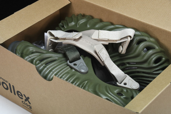 Cr0c5 pollex slide cp -03