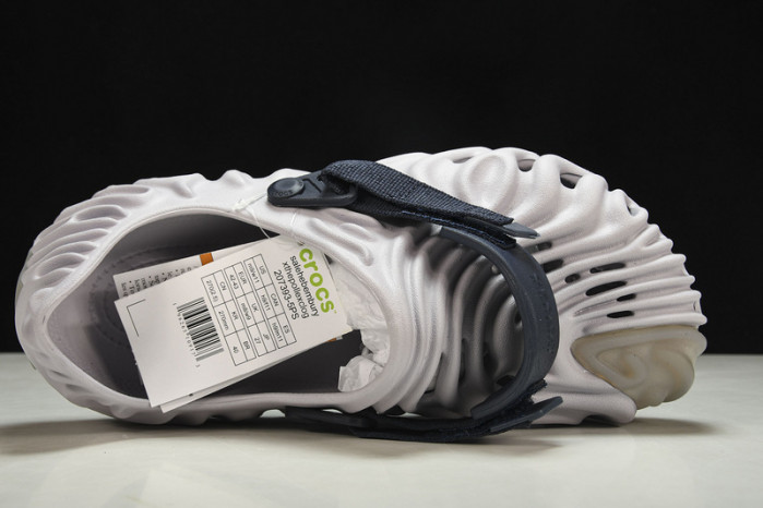 Cr0c5 pollex slide cp -02