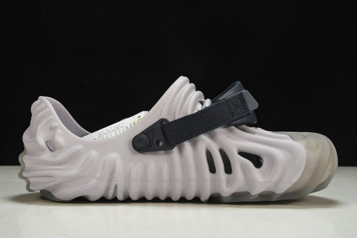 Cr0c5 pollex slide cp -02