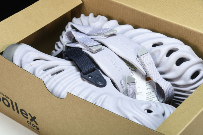 Cr0c5 pollex slide cp -02