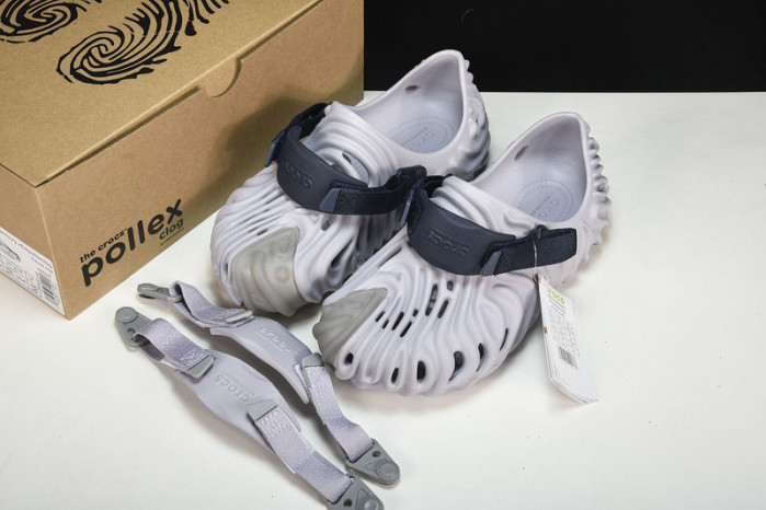 Cr0c5 pollex slide cp -02