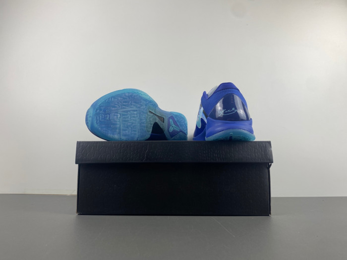 zoom kobe 5 protro 