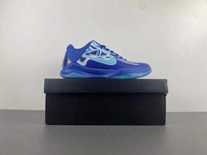zoom kobe 5 protro 