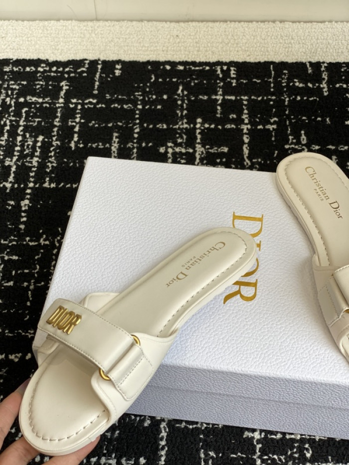 D1R* SLIDE copshoe DR-SLIDE 024