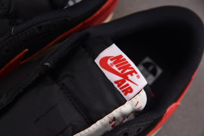 Travis Scott x Air Jordan DM7866-061