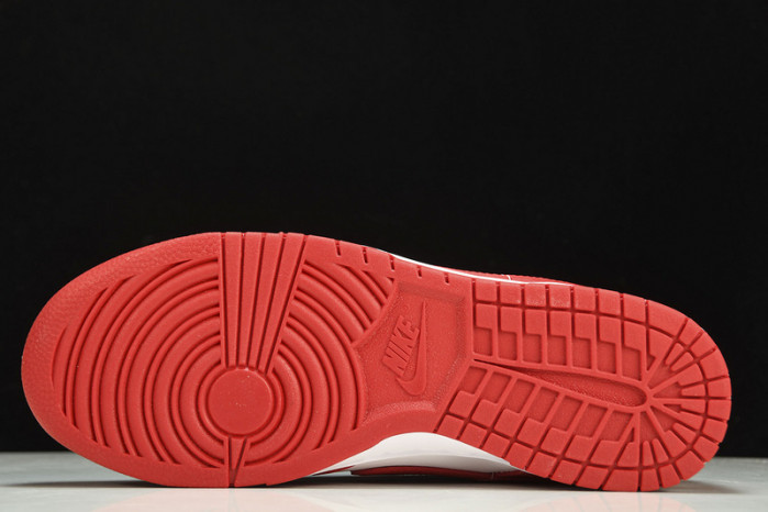 dunk low retro sp