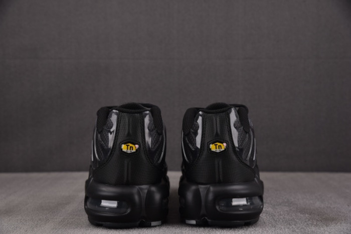 Paris Saint-Germain PSG Nike Air Max Plus IB2253-001