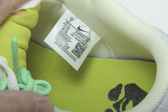of x dunk low